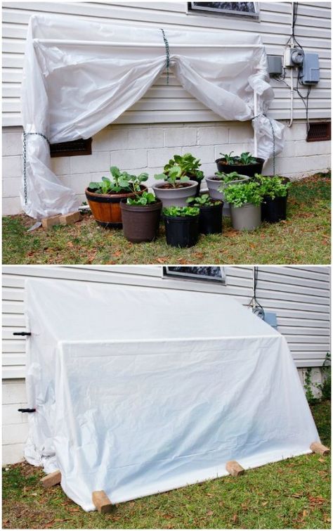 Serre Palette, Pallet Greenhouse, Cold Frame Diy, Cold Frame Greenhouse, Pvc Greenhouse, Cheap Greenhouse, Greenhouse Farming, Diy Greenhouse Plans, Greenhouse Cover