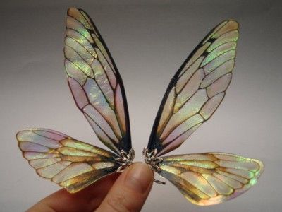 Orchid Queen - Creature Character - Polycount Forum Eiko Ishioka, Polymer Clay Kunst, Dragonfly Wings, Faeries Gardens, Beautiful Fairy, Fairy Crafts, Diy Fairy, Doll Tutorial, Fairy Wings