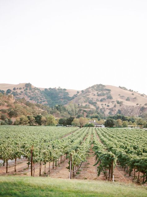 California Vineyard Aesthetic, Vineyard California, Farmgirl Flowers, California Vineyards, Napa Valley Wine, Vineyard Wedding, Outdoor Fire, Outdoor Fire Pit, The Ranch