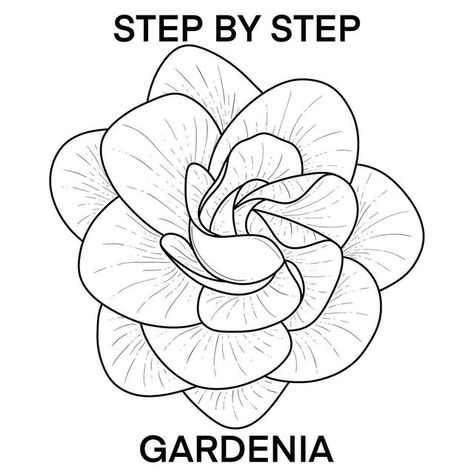 Kaily Wilson on Instagram: "STEP BY STEP GARDENIA I have a few favourite flowers these days but this one is a long time love. The smell of gardenia is incredible 😍 Drawing the centre is a bit tricky but once you get past that, all that is left are the relaxing details. Title page shows full work and slide 10 gives you the suggested directions for your petal details. A helpful post to read if you need a bit more guidance 👇🏻 ✨Petal Detail Tutorial Working out a new posting schedule 🌸 YouTu Gardenia Drawing Flower, Gardenia Drawing, Gardenia Painting, Gardenia Trees, Gardenia Flowers, Youtube Setup, Gardenia Plant, Italian Flowers, Gardenia Flower