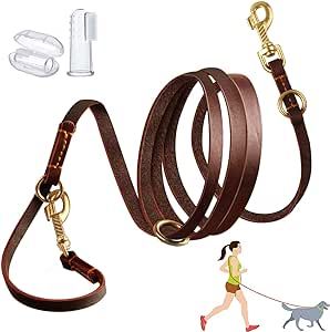 Training leash, leather with gold hardware.  Multiple hook points. Hands Free Dog Leash, Hands Free Leash, Dog Leash Training, Leather Dog Leash, Real Dog, Dog Collars & Leashes, Free Dogs, Medium Dogs, Service Dogs