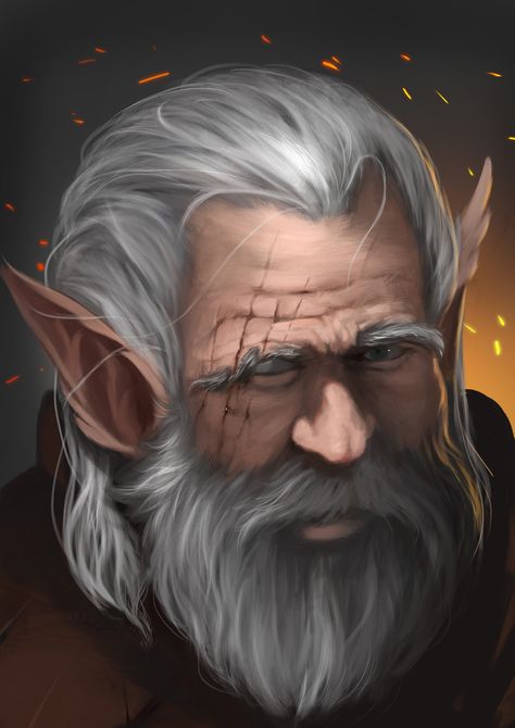 By Caio Santos Baldur's Gate Portraits, Old Elf, Male Elf, Elf Man, Elf Characters, Elves Fantasy, Elf Art, Heroic Fantasy, Roleplay Characters