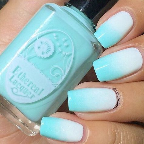 White Ombre Nails - White Blue Aqua Nail Nexgen Nails Colors, Teen Nails, Blue Ombre Nails, Aqua Nails, Teal Nails, Turquoise Nails, Ombré Nails, Ombre Nail, Ombre Nail Designs