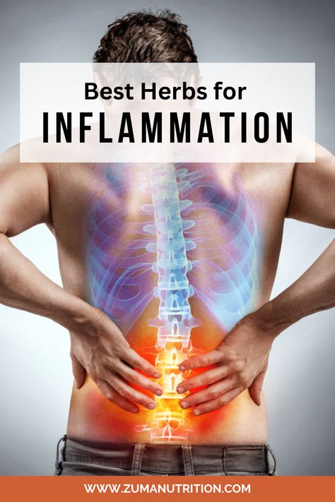 Many different herbs are good for inflammation. These anti-inflammatory herbs typically work by activating inflammatory pathways in the body. Some of the best natural herbs for inflammation include the following! Natural Anti Inflammatories For Joints, Natural Remedies For Inflammation, Good For Inflammation, Herbs For Inflammation, Supplements For Inflammation, Inflammatory Foods, Natural Pain Relief, Feeling Better, Chronic Inflammation