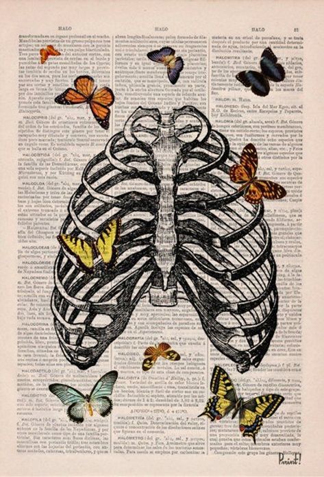 Wallpaper Aesthetic Collage, Printable Wall Collage, Grunge Posters, Grunge Pictures, Collage Drawing, Bedroom Wall Collage, Butterfly Poster, Picture Collage Wall, Edgy Wallpaper