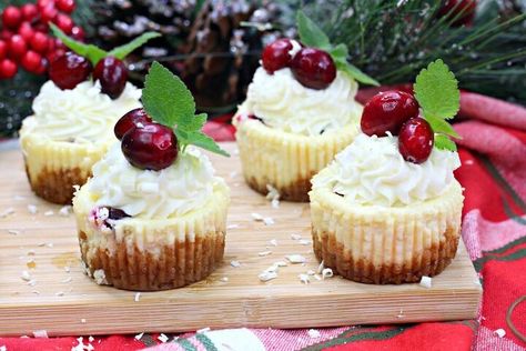 Cranberry Cheesecake Bites, White Chocolate Cranberry Cheesecake, Mini Cranberry Cheesecake, Cranberry White Chocolate Cheesecake, Caramel Cheesecake Bites, White Chocolate Cheesecake Recipes, Chocolate Covered Pretzels Recipe, Chocolate Cheesecake Recipe, Salted Caramel Recipes