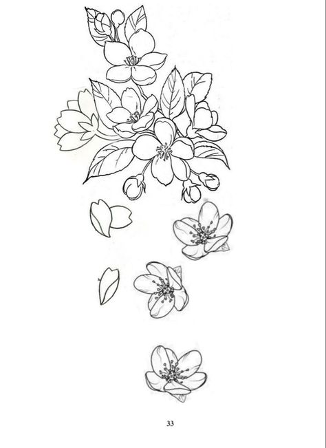 Japanese Cherry Blossom Tattoo Stencil, Cherry Flower Tattoo Design, Cherry Blossom Tattoo Sketch, Cherry Blossom Filler Tattoo, Chinese Flower Tattoo Blossoms, Cherry Blossom Drawing Tattoo, Chinese Flowers Tattoo, Chinese Cherry Blossom Tattoo, Sakura Flowers Drawing