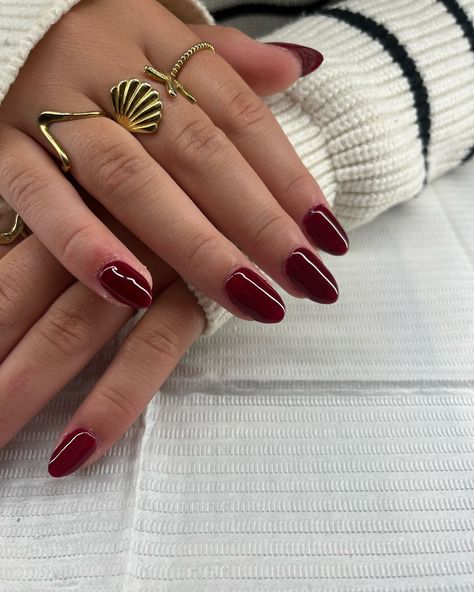 Red autumn nails 🫶🏻 Product used: @pinkgellac royal red -♥️✨ #pinkgellac #nailsnailsnails #nails #nail #nailinspo #nailfie #partynails #pinknails #fallnails #autumnnails #nails2inspire #nailsalon Royal Red Nails, Red Autumn Nails, Red Autumn, Party Nails, Autumn Nails, Royal Red, Nails Nail, Red Nails, Nail Salon