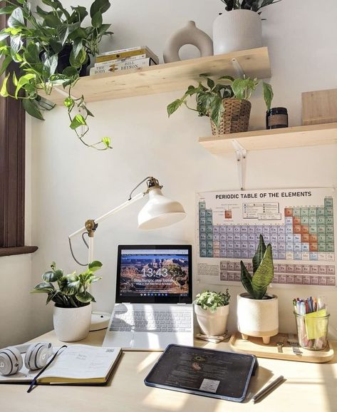 instagram story ideas, photo dump, plants, study, studying, study aesthetic, studyblr, study setup, scholar Plants On Study Table, Plants For Study Table, Desk Setup With Plants, Plants On Desk, Behind Desk Wall Decor, Green Study Desk Aesthetic, Dorm Desk Plants, Desk Wall Decor, College Desk Setup