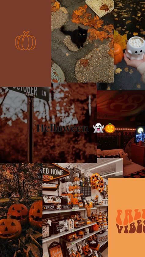 Collage über helloween und Herbst. Könnte man als Hintergrund verwenden. October Collage, Halloween Collage Wallpaper Iphone, Hello October Collage, Halloween Collage Desktop Wallpaper, Autumn Aesthetic Wallpaper Collage, Fall Feels, Trick Or Treat, Collage, Feelings