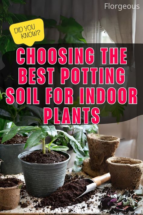 Best Potting Soil for Indoor Plants Potting Soil For Indoor Plants, Soil For Indoor Plants, Plants In Containers, Plant Care Houseplant, Root Rot, Insect Pest, Natural Ecosystem, Prayer Plant, Soil Testing