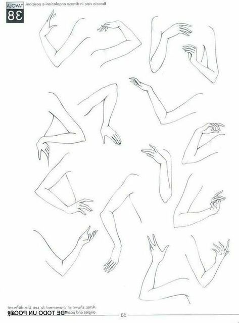 Hands And Arms Drawing, Hand Arm Drawing, Women Arms Drawing Reference Poses, Hand And Arm Reference, Arm References Drawing, Arm Drawing Reference, Drawing Arms, Arm Drawing, Fashion Illustration Tutorial