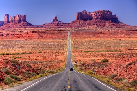 Tree Stumps, Giant Tree, Red Rocks, Red Rock, What You See, In The Middle, Monument Valley, The Road, The Middle