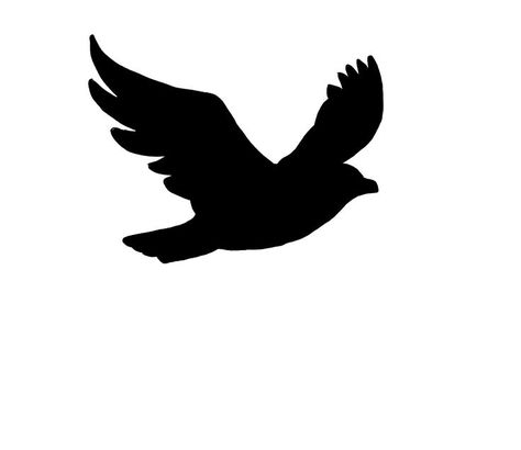 17 Best ideas about Bird Silhouette on Pinterest | Bird stencil ... Flying Bird Drawing, Bird Silhouette Tattoos, Black Bird Fly, Swallow Bird Tattoos, Flying Bird Silhouette, Vogel Silhouette, Flying Bird Tattoo, Tattoo Bird, Flying Tattoo