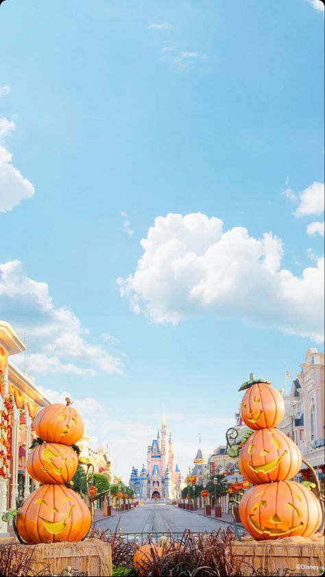 Disneyworld Main Street during fall/Halloween Disney World Halloween, Perfect Fall Day, Pumpkin Wallpaper, Fall Getaways, Disney Iphone, World Wallpaper, Iphone Wallpaper Fall, Disney Phone Wallpaper, Halloween Wallpaper Iphone