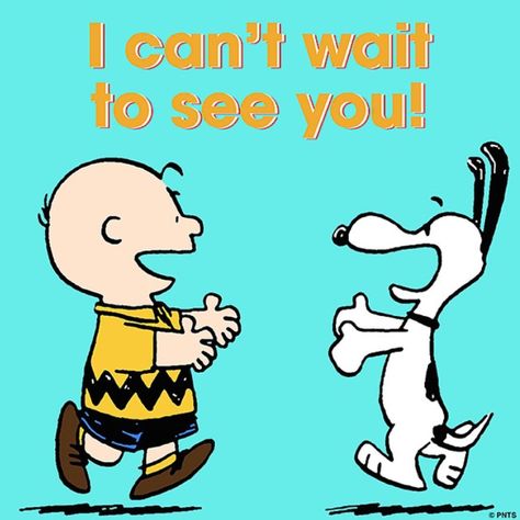 Charlie Brown Quotes, Snoopy Funny, Charlie Brown Snoopy, Snoopy Images, Peanuts Cartoon, Snoopy Quotes, Snoopy Pictures, Snoop Dog, Snoopy Love