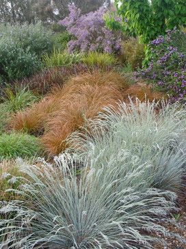 Garden Design Home, Landscaping Garden Design, Native Gardens, Australian Native Garden, Front Garden Landscape, Meditation Garden, California Garden, Sloped Garden, Australian Garden