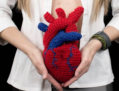 Once You See It, You’ll Want To Crochet This Anatomical Heart Surgery Trophy Designed By Shawn Torres | KnitHacker Stained Glass Crochet, Anatomical Heart Art, Trophy Design, Heart Surgery, Anatomical Heart, Afghan Pattern, Knit Picks, Crochet Diagram, Tapestry Crochet