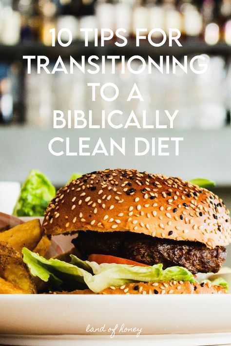 10 Tips for Transitioning to a Biblically Clean Diet | Land of Honey Biblical Diet For Women, Biblical Eating, Daniel Diet Recipes, Biblical Diet, Bible Food, Daniel Diet, Mediterranean Foods, Easy To Cook Meals, Clean Snacks