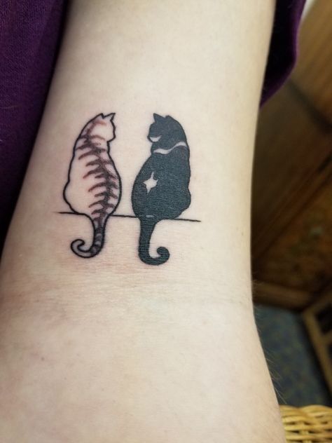 Tattoo of my 2 cats, Zeus and Sully. Still a bit swollen. Atomic tattoos UCF in Orlando FL Cat Family Tattoo, Tortoise Shell Cat Tattoo, Dog Memorial Tattoos, Family Tattoo, Cat Tattoos, Cat Tattoo Designs, 2 Cats, Tortoise Shell Cat, Kitty Drawing