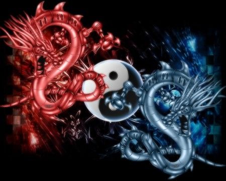 Yin yang dragons Fire N Ice, Dragon Medieval, Image Zen, Dragon Wolf, Small Dragon Tattoos, Yin Yang Art, Dragon Dreaming, Balance Art, Fairy Dragon