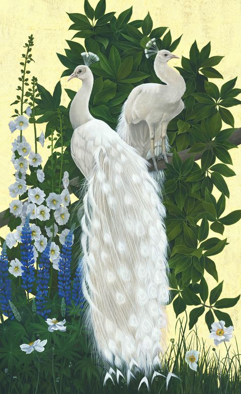 White Peacock Art, White Peacock Painting, White Peacocks, Chinoiserie Paintings, Gold Leaf Background, Peacock White, Peacock Artwork, Peacock Drawing, Peacock Pictures