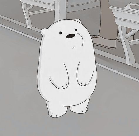 Ice Bear, Background Wallpaper, Polar Bear, Full Hd, Laptop