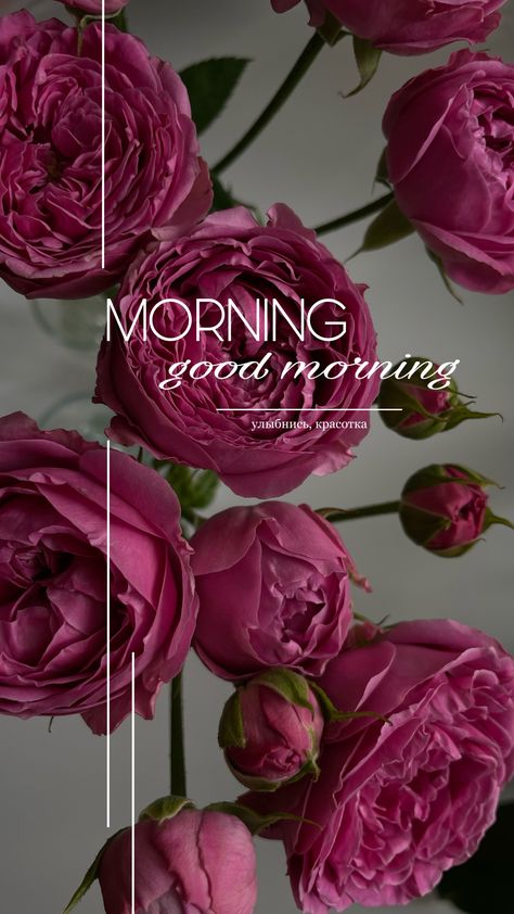 Jul 16, 2022 - This Pin was created by Thays Mourão | Mkt Digital on Pinterest. Good Morning! Happy Good Morning, Good Morning Gift, Good Morning Posters, Quotes Good Morning, Good Morning Greeting Cards, Good Morning Post, Phone Wallpaper Boho, Iphone Wallpaper Hipster, Happy Good Morning Quotes