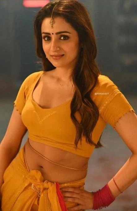 Trisha Actress, Traditional Look, Indian Actress Hot Pics, Hot Pics, Actor Photo, India Beauty, Actress Photos, Bollywood Actress, Beauty Women