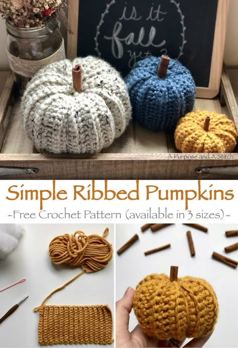 Simple Ribbed Pumpkins- Free crochet pattern in small, medium and large. By A Purpose and A Stitch Crocheted Pumpkins, Crochet Pour Halloween, Crochet Pumpkins, Beau Crochet, Fall Crochet Patterns, Confection Au Crochet, Halloween Crochet Patterns, Crochet Simple, Crochet Fall