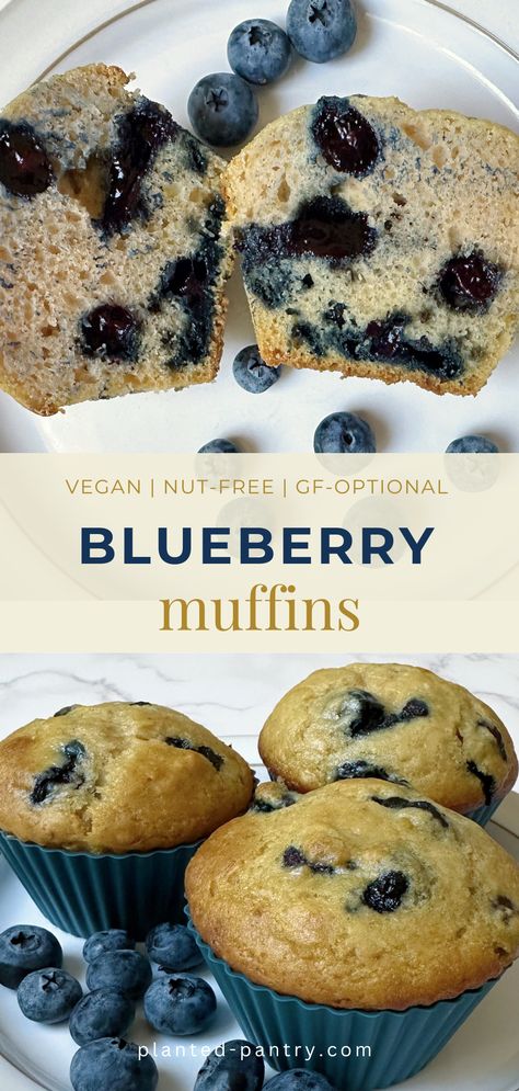 Indulge in these amazing blueberry muffins; light and fluffy yet bursting with juicy blueberries. Refined Sugar Free Blueberry Muffins, Egg Free Blueberry Muffins, Sugar Free Blueberry Muffins, Muffin Vegan, Vegan Blueberry Muffins, Vegan Muffins, Nut Free Recipes, Maple Sugar, Vegan Blueberry