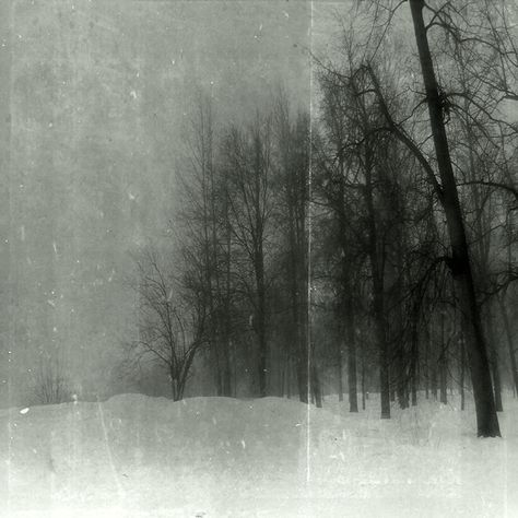 by SpiritualBlue Melancholy Landscape, Winter Nature Aesthetic, Black And White Landscape Photography, Sarah Moon, Sky Go, Pinhole Photography, Trees Forest, Abstract Landscape, The Snow