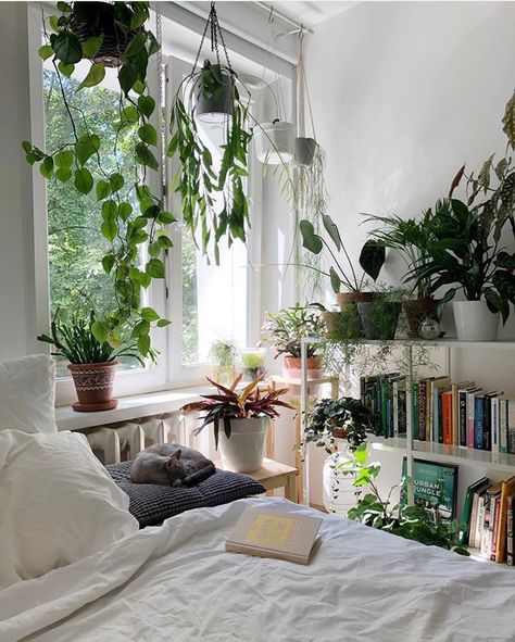 Plant Bedroom Aesthetic, Urban Jungle Bedroom, Urban Jungle Interior, Uni Bedroom, New York Bedroom, Lounge Room Styling, Jungle Bedroom, Organic Bedroom, Natural Bedroom