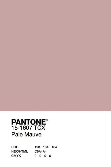 Pale Pink Walls, Mauve Walls, Murs Roses, Pantone Colour Palettes, Room Wall Colors, Bedroom Colour Palette, Paint Color Schemes, Hal Decor, Bedrooms Ideas