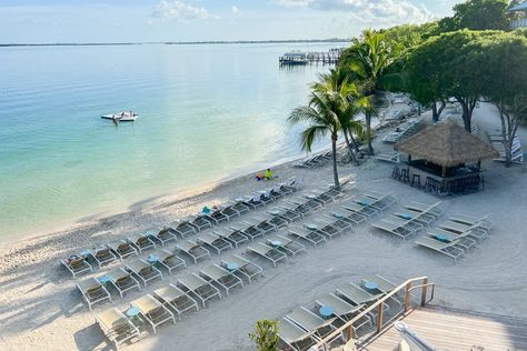 Playa Largo Resort & Spa or Baker's Cay Resort Key Largo: Which beach resort is better? - The Points Guy Playa Largo Resort And Spa, Bakers Cay Key Largo, Bakers Cay Resort, Key West Vacations, Resort And Spa, Which Is Better, Florida Keys, Stay The Night, Face Off