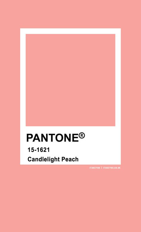 Pantone Peach Pink, Pantone Color Names, Blush Pantone, Wedding Colour Combinations, Peach Pantone, Wedding Colour Theme, Peach Pink Color, Pantone Palette, Color Pantone