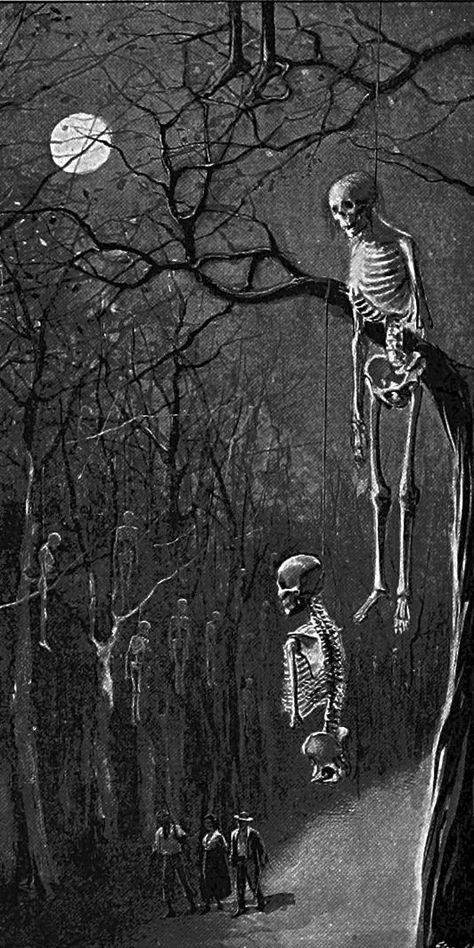 Aesthetic Creepy, Mind Dump, Creepy Skeleton, Creepy Backgrounds, Scary Drawings, Horror Photos, Halloween Wallpaper Iphone Backgrounds, Arte Peculiar, Scary Wallpaper