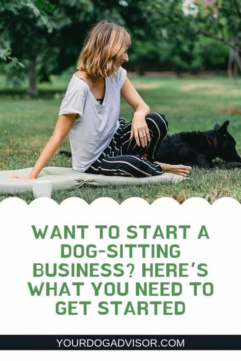 Want to Start a Dog-Sitting Business? Here’s What You Need to Get Started | Your Dog Advisor Kennel Business, Dog Sitting Business, Dog Daycare Business, Daycare Business, Pet Care Business, Pet Sitting Business, Pet Transport, Pet Sitting Services, Dog Hotel