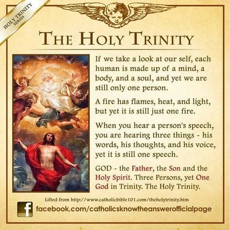 Trinity Sunday, Catholic Theology, Catholic Answers, Catholic Beliefs, Daughter Of The King, Catholic Education, The Holy Trinity, King Photo, Faith Formation