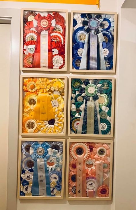 Trophy And Ribbon Display Ideas, Ribbon Shadow Box Ideas, 4h Awards Ideas, Ribbon Award Display, Rosette Display Ideas, 4h Ribbon Display Ideas, Award Display Ideas, Show Ribbon Display Ideas, Dog Ribbon Display