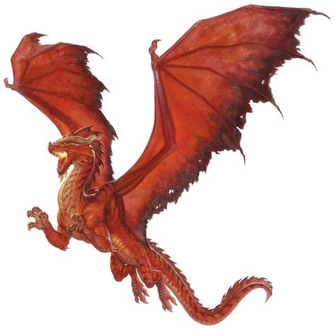 Red dragon flying Dragon Meaning, Chromatic Dragon, Dragon Rouge, Dragon Tales, Dragon's Lair, D D Monsters, Dnd Dragons, Cool Dragons, Dragon Pictures