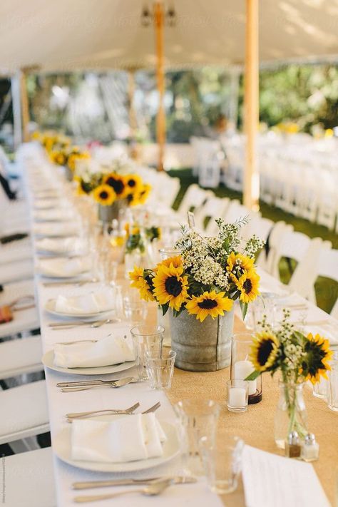 Rustic Sunflower Wedding Ideas, Sunflower Wedding Ideas, Sunflower Wedding Centerpieces, Sunflower Wedding Decorations, Rustic Sunflower Wedding, Sunflower Centerpieces, Sunflower Party, Sunflower Themed Wedding, Sunflower Bridal Shower