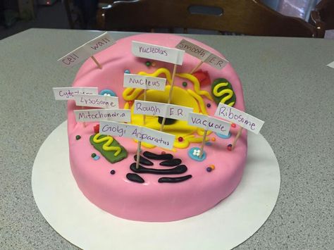 Animal cell cake Animal Cell Cake Project Labeled, Animal Cell Project Cake, Animal Cell Cake, Cell Cake, 3d Animal Cell, Animal Cell Project, Biology Project, Cell Project, Animal Cells