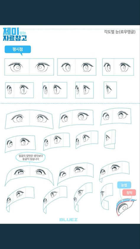 Perspective Eyes Drawing, Anime Eyes Perspective, Eye Studies Drawing, Eye Socket Anatomy, Anime Face Perspective, Eye Perspective Reference, Eyes Perspective Drawing, Eyes In Perspective, Eye Drawing Perspective