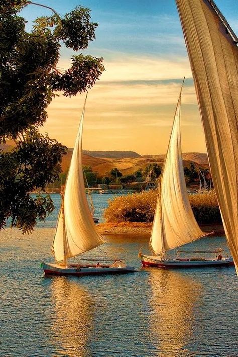 Egypt Aesthetic, Navi A Vela, Build Your Own Boat, Nile River, Boat Art, Boat Painting, Egypt Travel, Jolie Photo, Boat Building