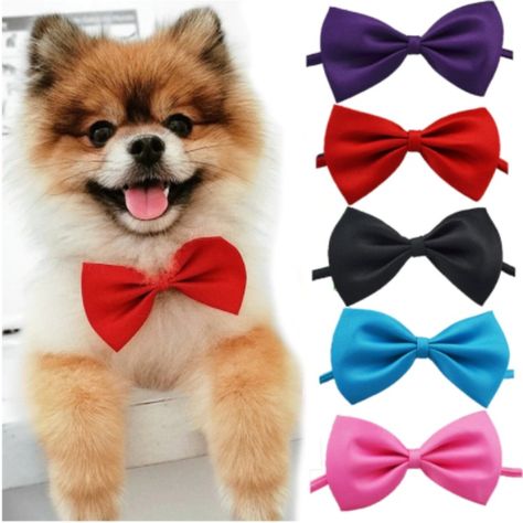 Adjustable Strap - More variants and colors on our website🐾🛒🧡 Puppy Grooming, Pet Bow Ties, Cat Bow Tie, Dog Bow Tie, Tie Necklace, Cat Bow, Neck Accessories, Pet Bows, Dog Teeth