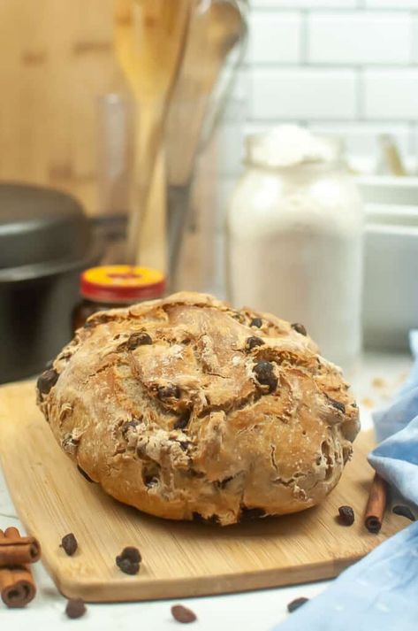 Cinnamon Raisin No-Knead Bread: Effortless and Flavorful Loaf! - Veggie Fun Kitchen No Knead Raisin Bread, No Knead Cinnamon Raisin Bread, No Need Bread, Cranberry Walnut Bread, Cinnamon Swirl Bread, Cinnamon Raisin Bread, Walnut Bread, Knead Bread, Swirled Bread