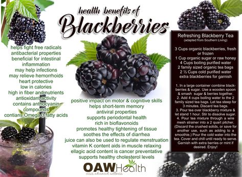 Blackberry Benefits, Blackberry Tea, Benefits Of Berries, Tea Benefits, Organic Sugar, Nutritious Snacks, Organic Teas, Tea Recipes, Fruits And Veggies