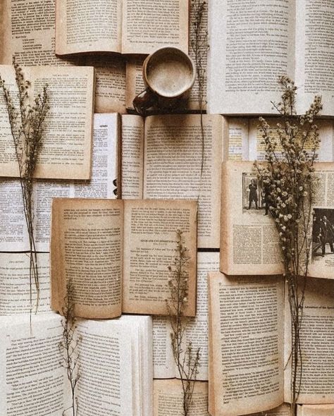 Soft Victorian Aesthetic, Victorian Era Aesthetic, Ombre Wallpaper Iphone, Starting Something New, Library Aesthetic, Victorian Aesthetic, Book Background, Tea And Books, In Shock