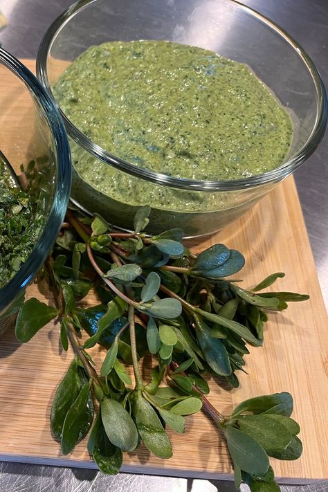 Canning Purslane, Pickled Purslane, Purslane Recipes, Purslane Recipe, Recipes Pesto, Fairytale Food, Urban Foraging, Edible Weeds, Special Dishes